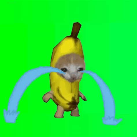 banana cat gif|banana cat crying gif.